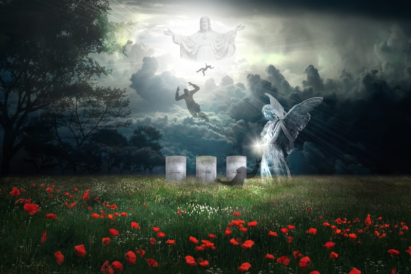 light, land, soldiers, flower, jesus, petaled, flower head, beauty in nature, rise, war graves, heaven, sky, red, background, vulnerability, 4K, fragility