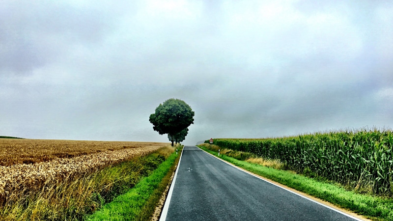 Way, Rural, Altmühltal, Berge, Heaven, agriculture, Nature, Baum, Bayern, rural Scene, outdoors, Natur, Tree, Street, black, Rainy, Kornfeld, 4K, Yellow