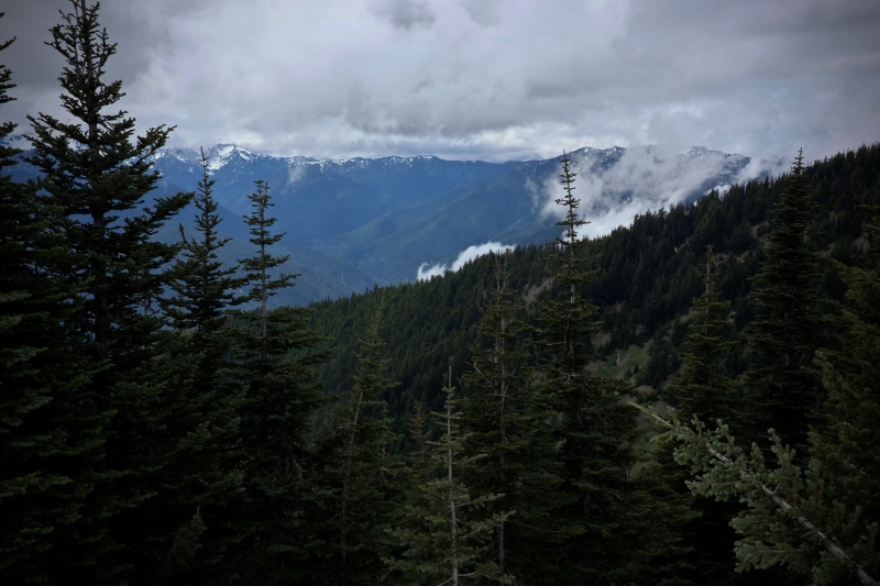 mountains, non-urban scene, green color, washington, cloud - sky, woods, tranquility, day, no people, mountain, olympic national parc, snowcapped mountain
