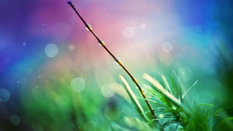 nature, nature and landscape, 1080P, heaven