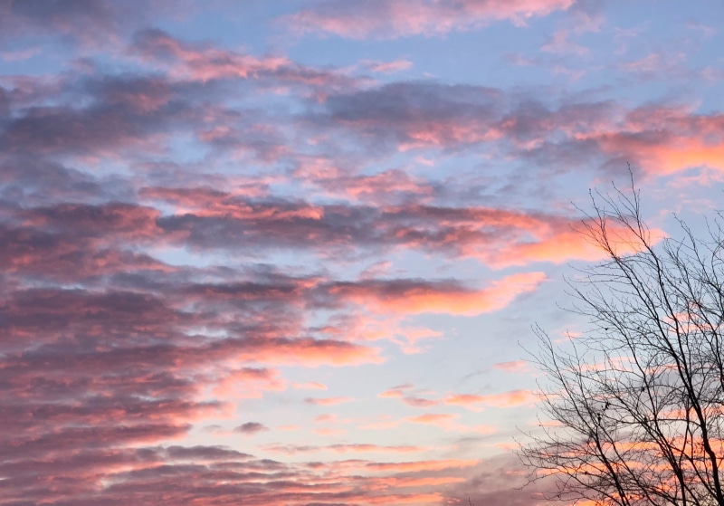 skies, scenics - nature, beauty in nature, sunrise, pink sky, clouds form, tree, cloud - sky, red, no people, romantic sky, orange color, silhouette, sky