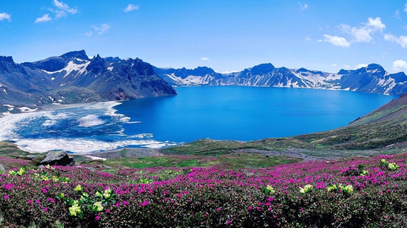 travel destinations, asia, mountain range, land, tianchi, flowering plant, flower, volcano, heaven lake, nature, changbaishan, 1080P, tranquility, environment