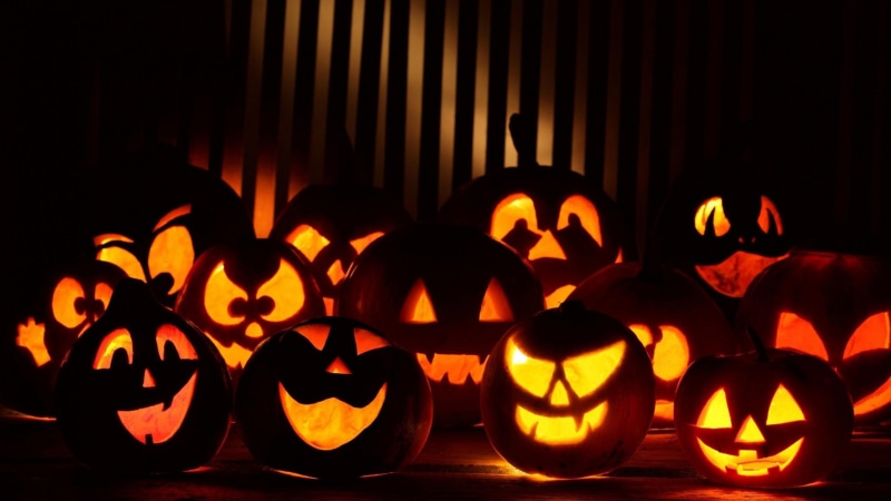 many, beautiful, pumpkin, nice, pumpkins, amazing, fantastic, 2K, halloween, skyphoenixx1, samhain, picture