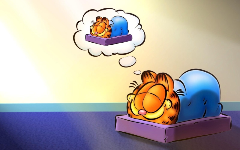 beautiful, fantastic, nice, pretty, s, skyphoenixx1, garfield, kittens, picture, favourite, sweet, 1080P, amazing, dream, marve