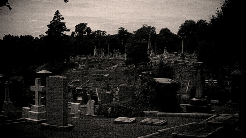 day, nature, Hollywood Cemetery, cemetery, built structure, tree, the past, grave, high angle view, sky, history, architecture, stone, outdoors, sadness