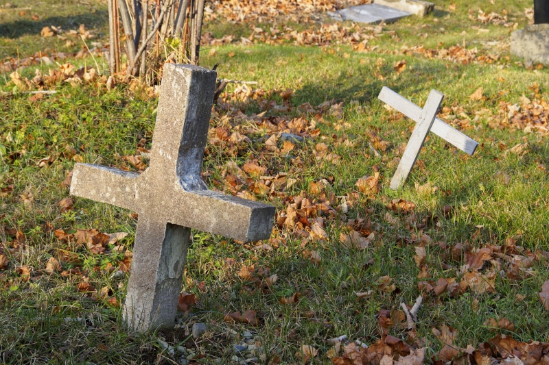 christian, cemetery, gravestone, green, tombstone, day, abandoned, buried, no people, funeral, autumn, newfoundland and labrador, canada, tranquil, spooky