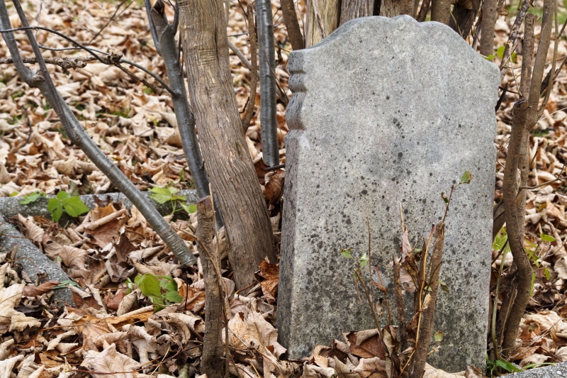 holy, funeral, stone - object, leaves, autumn, dead, memorial, headstone, abandoned, focus on foreground, land, spooky, growth, symbol, field, mammal, old