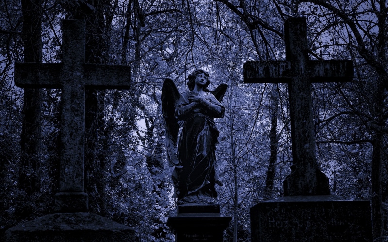 cemetery, tombstones, graves, nature, angel, 2K, trees, hd, cross