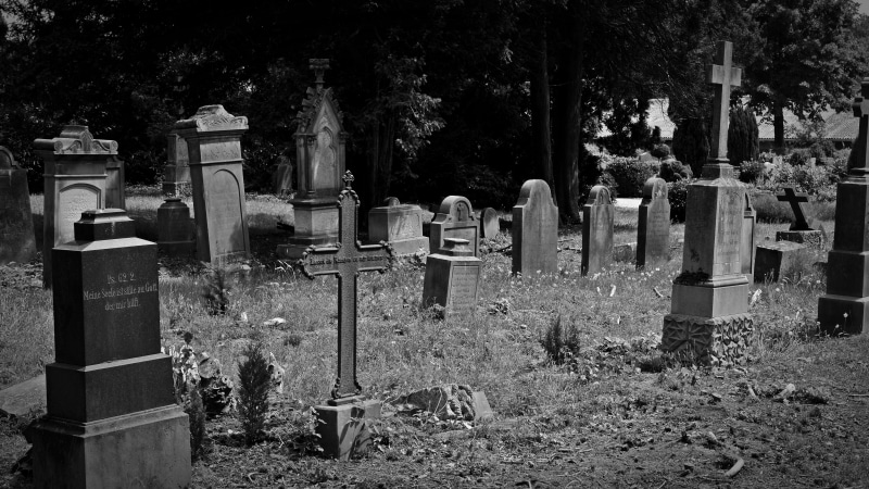 plant, gods acre, the past, religion, burial ground, grayscale, memorial, no people, funeral, 5K, stone, tree, history, photo, tomb, old grave stones