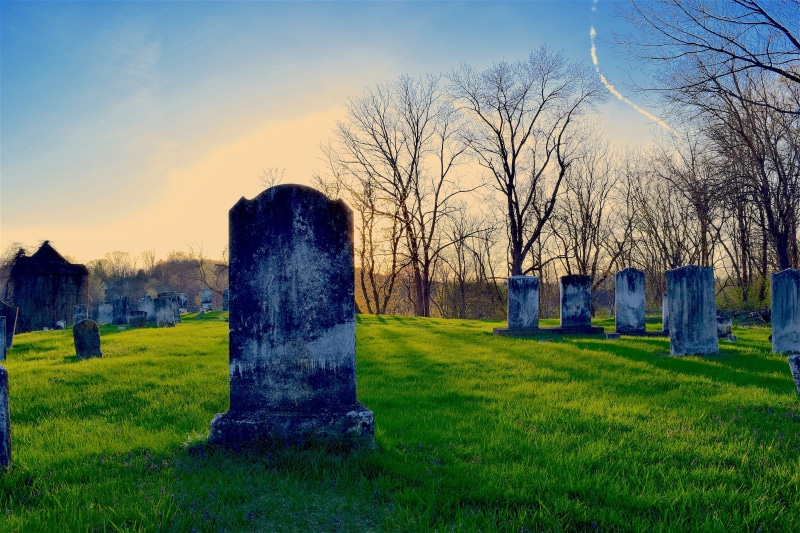 bare tree, Cemetery, death, tree, land, grass, 4K, tranquility, history, the past, no people, Graveyard, gravestone, sky, memorial, nature, outdoors, old
