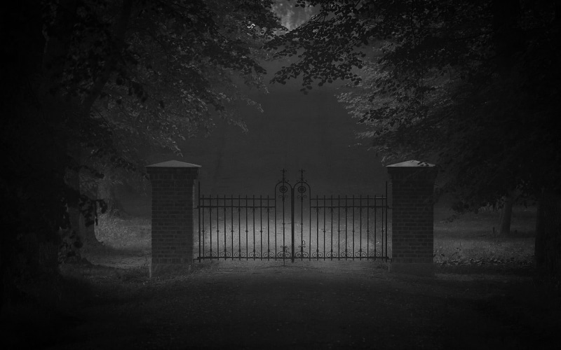 nature, architectural column, road, built structure, architecture, wrought, fog, 720P, door, no people, iron, plant, mist, history, spooky, landscape