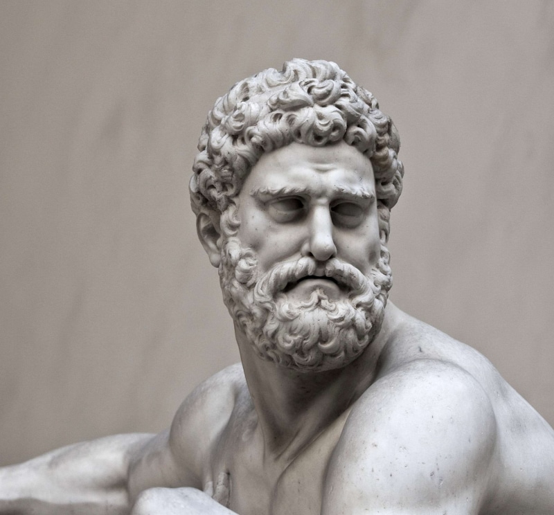 shirtless, human body part, art history, headshot, palazzo vecchio, adult, craft, portrait, looking at camera, hairstyle, david, chest, classical style