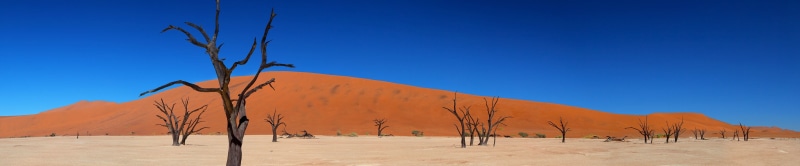  monitor, multiple, multi, triple, 4K, screen, desert