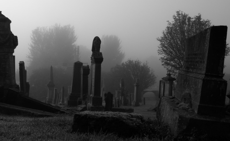 architecture, 2K, Old Cemetry, Graves, Cemetry, the past, united kingdom, built structure, no people, gray, tombstone, south lanarkshire, plant, Halloween