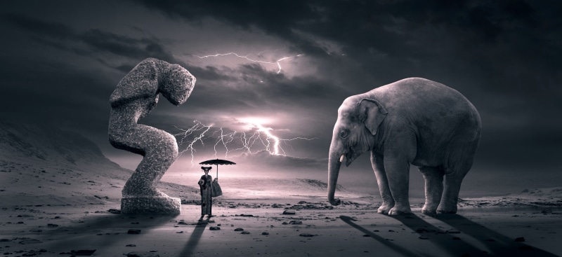 one animal, dramatic, light, storm, weather, dark, sand, elephant, outdoors, sky, fairy tales, bizarre, mystery, mystical, force of nature, people, thunderstorm