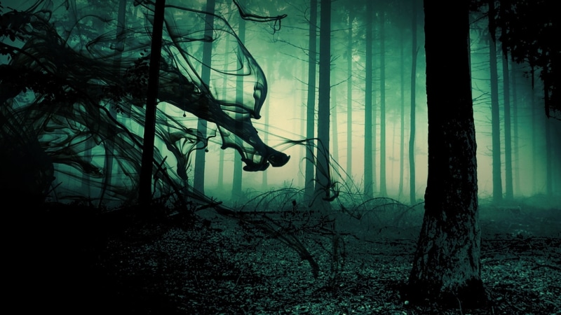 light, sunlight, undead, gothic, withc, manipulation, fog, poe, trees, nature, forest, spooky, 1080P, abstract, psychedelic, moonlight, occult, macabre