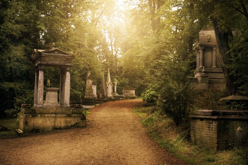 fear, tombstone, plant, religion, the past, building exterior, dead, footpath, the way forward, tree, haunted, direction, sunlight, growth, horror, gravestone