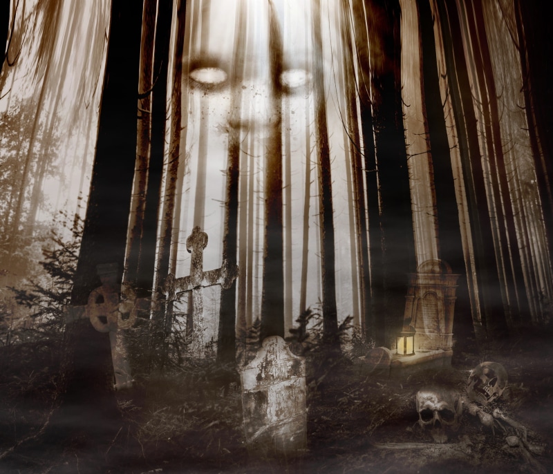 bright, spirit, dark, ghostly, 2K, cross, appearance, place of worship, animal, illustration, daemon, abendstimmung, trees, halloween, surreal, spooky