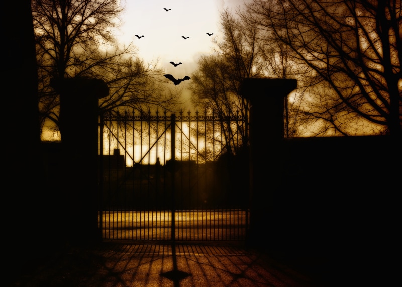 fairytale, fear, fantasy picture, fairy tales, fantastic, entrance, bird, full moon, weird, animal, animal themes, animals in the wild, mood, built structure