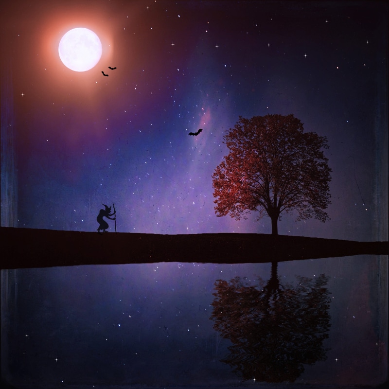 tranquil scene, digital art, sky, the witch, mystical, galaxy, reflection, bat, water, purple, 4K, beauty in nature, plant, full moon, moonlight, nature