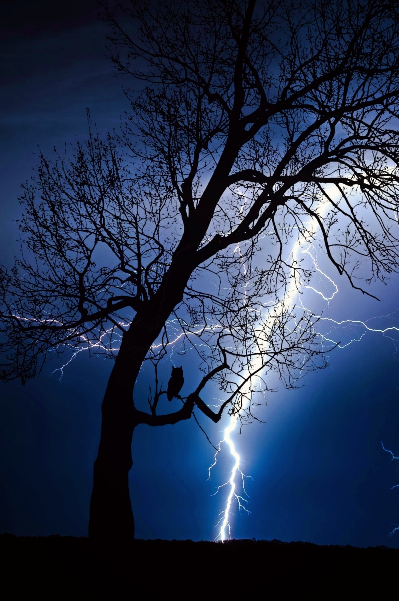 tranquil scene, threatening, flash, sky, moonlight, storm, picture, discharge, darkness, atmospheric, outdoors, tranquility, dusk, branch, sunset, bare tree