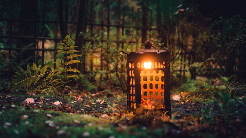 outdoors, leaves, lights, lantern, trees, ferns, forest, fence, depth of field, garden, nature, natural light, landscape, macro, 1080P