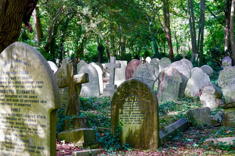 day, headstone, grave, history, remains, human, death, nature, religious, cemetery, monument, stone, plant, outdoor, funeral, no people, peace, tombstone