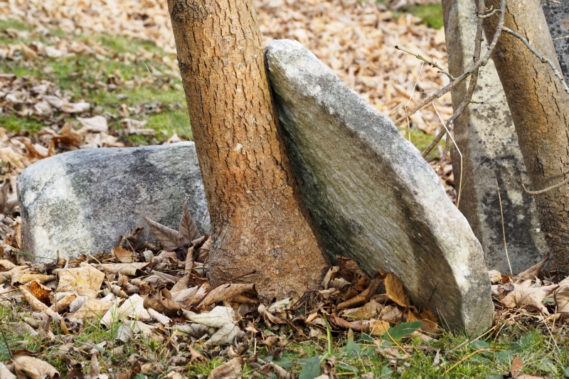 trunk, dead, wood, graveyard, grass, trees, tree trunk, memorial, spooky, autumn, focus on foreground, 2K, woods, ancient, faith, stone, forest, holy