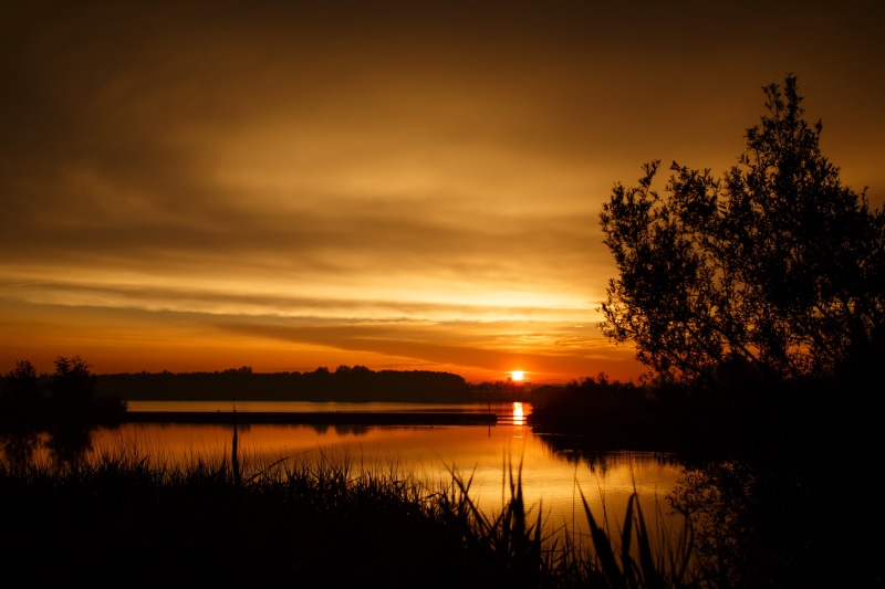 sunset, forest, nootdorp, Enjoy, dusk, hague, tree, orange Color, body of water, summer, red  orange, lake, water, magic, 5K, Every day, outdoors, body