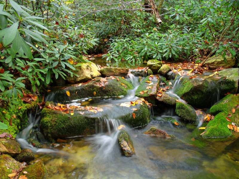 outdoors, waterfall, rock - Object, hiking, creative commons, timelapse, Mid State Trail, 4K, moss, water, Wild, Pennsylvania, timelapse photography, tropical Rainforest