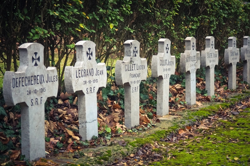 tree, no people, veteran, monument, information, text, commemorate, stone, cemetery, script, belgium, in a row, death, grave, honor, military, sign, land