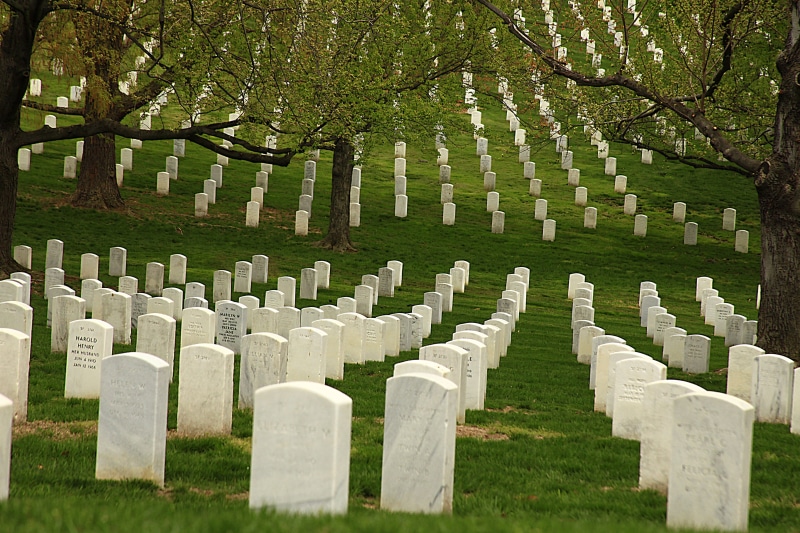 usa, grass, Cemetery, world War II, patriotic, no people, emotion, burial, day, stone, large group of objects, armed Forces, gravestone, tree, memorial