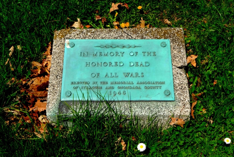 green color, leaves, war, text, growth, communication, county, syracuse, world war, grave, new york, information, symbol, dead, tombstone, memorial, marker