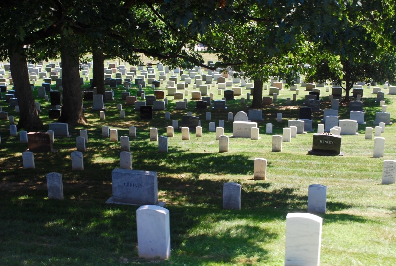 plant, national, memorial, no people, stone, 2K, war, day, heroes, usa, washington, tree, sadness, honor, patriot, infantry, arlington, religion, outdoors