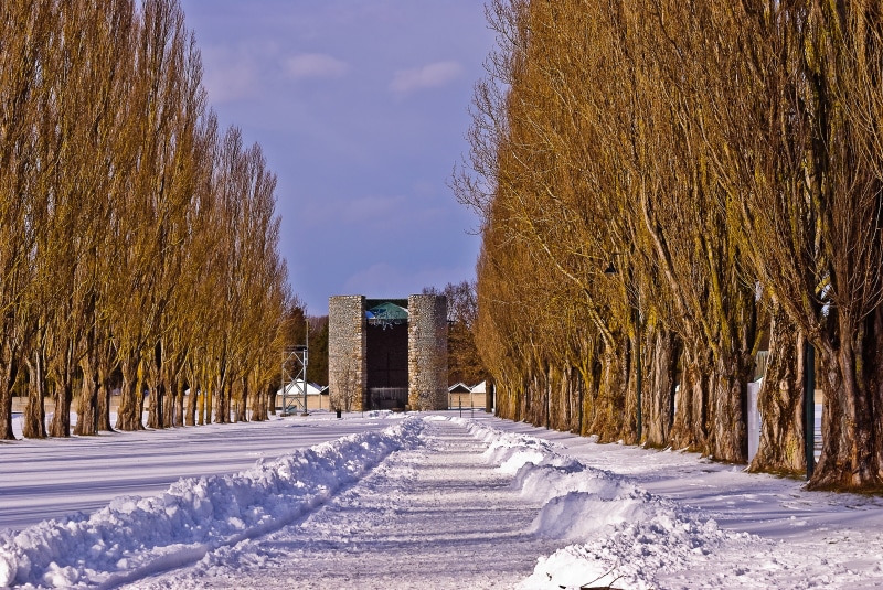 the way forward, terrible, wall, plant, field, pathway, symbol, direction, land, history, concrete, dachau, statue, bad, winter, mass murders, forget, germany