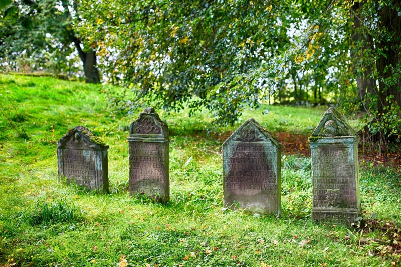 resting place, green color, gray, plant, leave, tree, grave stones, four, rock carving, trees, cemetery, grave, outdoors, tomb, field, burial ground, day