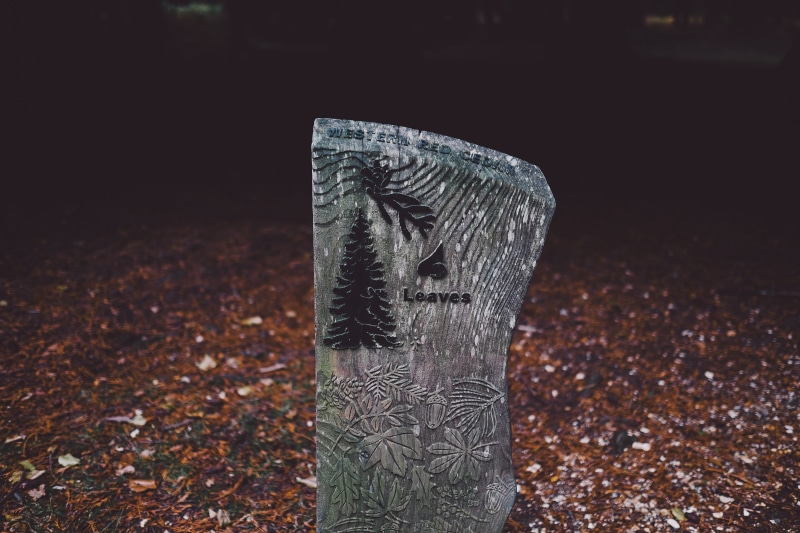 activity, black, grave, autumn, white, decor, floral, wood - material, brown, land, plant part, art and craft, pattern, black and gray, carving - craft product