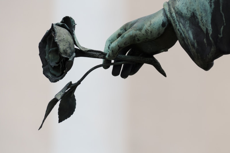 cemetery, sculpture, vertebrate, focus on foreground, peace, rose, bronze, no people, perching, full length, death, animals in the wild, nature, plant