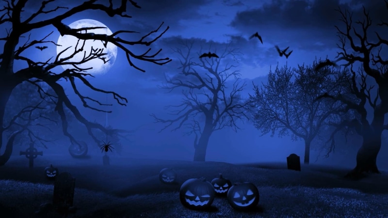 1080P, Bat, Blue, Night, Moon, Halloween, Graveyard, Spider, Jack-o-lantern, Holiday