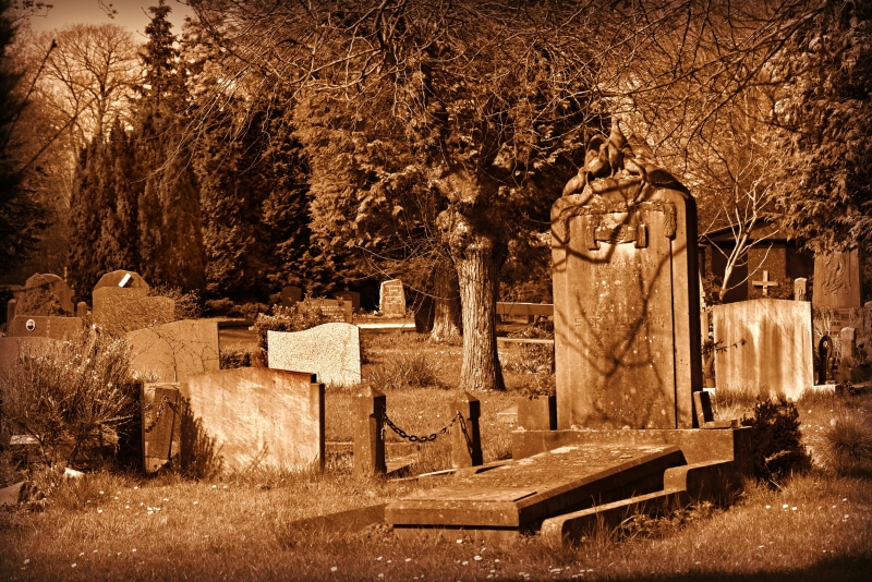burial ground, plant, christian, religion, 4K, last farewell, funeral, land, history, death, built structure, graveyard, old, grave, tombstone, no people