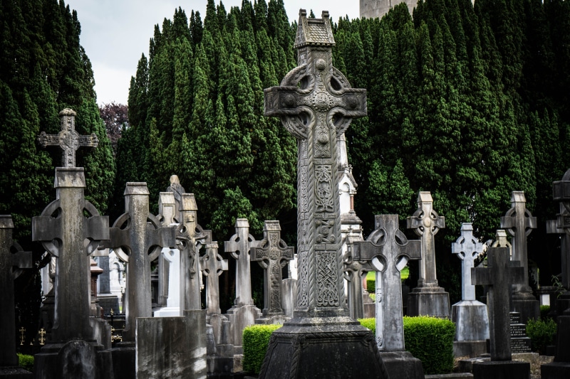 trees, front, graves, 5K, last calm, grave, tombstone, glasnevin, cemetery, spirituality, religion, a place to rest, stone material, architecture, funeral