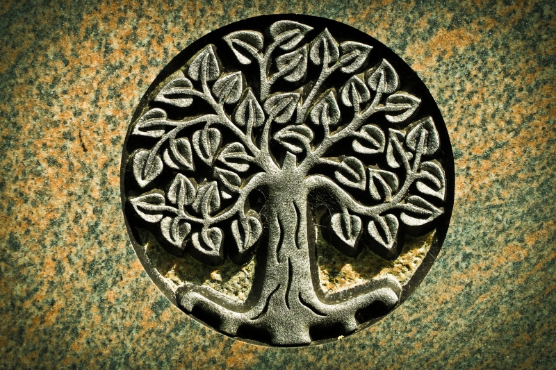 animal representation, grabschmuck, art, tree, carving - craft product, silent, carving, floral pattern, shape, architecture, no people, architecture and art