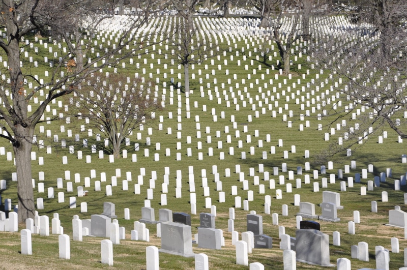 large group of objects, cementery, cemetery, Washington Dc, spirituality, the past, emotion, in a row, trees, belief, plant, grave stones, Usa, repetition