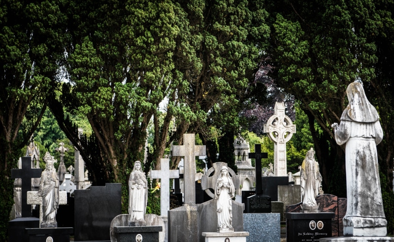 cemetery, stone material, last calm, nature, memorial, tomb, 5K, plant, cross, dublin, tree, creativity, religion, spirituality, art and craft, no people