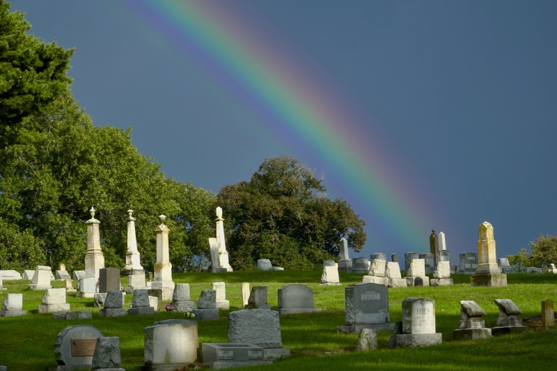 day, plant, cemetery, architecture, stone, 5K, grave, no people, graveyard, multi colored, peaceful, headstones, outdoors, tree, outside, double rainbow