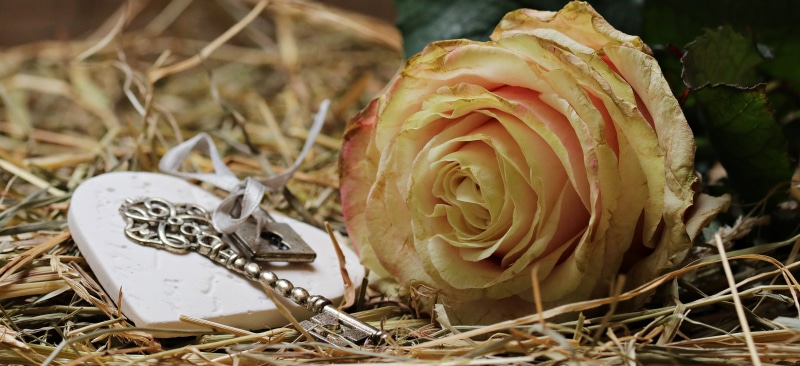 outdoors, grasses, rose bloom, white, brown, plant, white pink rose, pink, rose, padlock, rose on straw, floral greeting, key, valentines day, day, love