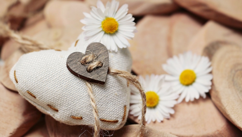 postcard, petal, shape, greeting card, daisy, decoration, knitted, food, no people, m p, thank you, selective focus, map, feelings, bellis philosophy, wood