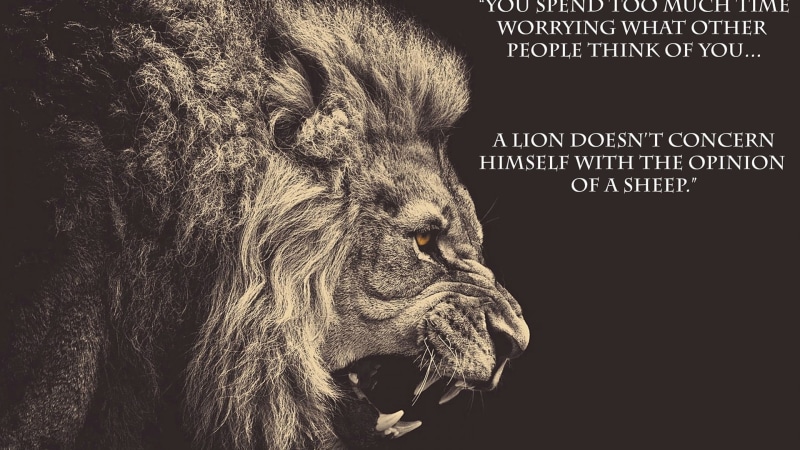 quotes, 1080P, animal, graphic, black, art, design, leo, silhouette, sign, drawing, symbol, icon, business
