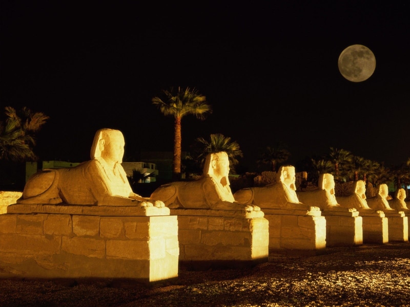 monument, ancient, art and craft, moon, night, plant, no people, tree, outdoors, architecture, memorial, Egypt, sphinx, sculpture, representation, grave