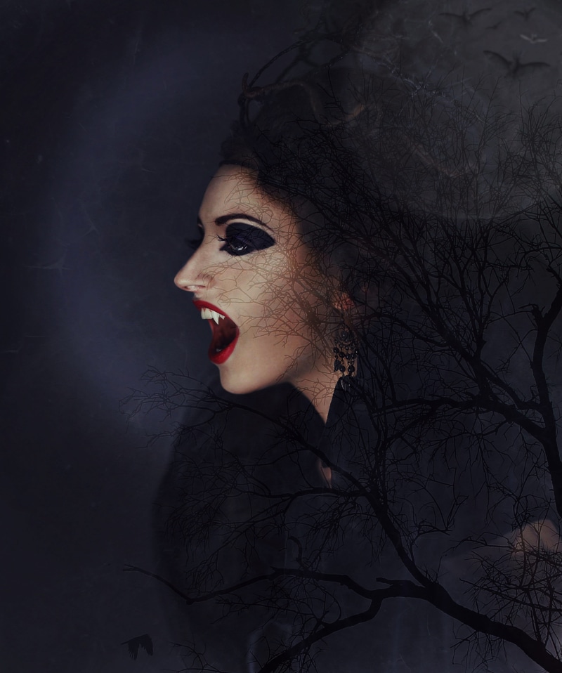 night shape, dream, moonlight, 5K, black background, bat, indoors, tree, magic, blood sucker, halloween, moon, mysterious, lipstick, gespenstig, popular belief